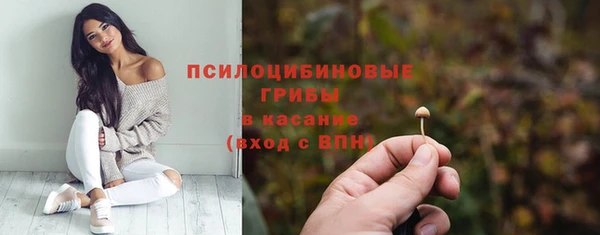 твердый Абинск