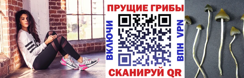 Галлюциногенные грибы мухоморы купить цена ссылка на мегу как зайти Челябинск
